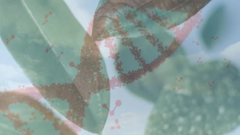 Animation-of-dna-strand-over-leaves