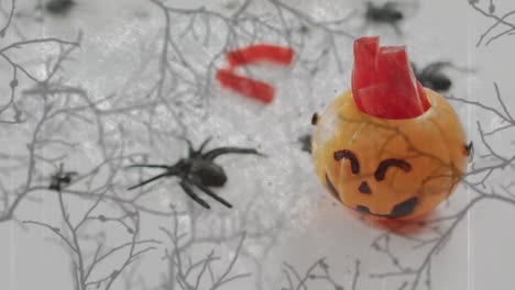 Animation-Eines-Zu-Halloween-Geschnitzten-Kürbiseimers-Mit-Süßigkeiten-Und-Spinne-Auf-Grauem-Hintergrund