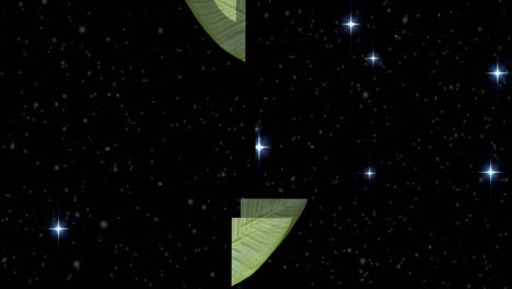 Animation-of-stars-and-snow-falling-with-leaves-over-black-background