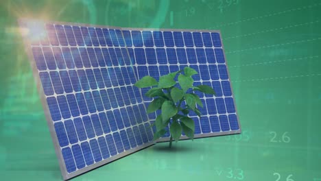 Animation-of-financial-data-processing-over-solar-panels-and-plant-on-green-background