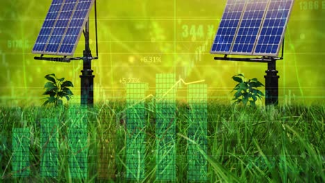 Animation-of-financial-data-processing-over-solar-panels-on-grass-and-green-background
