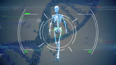 Animation-Der-Datenverarbeitung-Und-Skelett-über-DNA-Strang