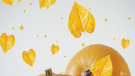 Animation-of-leaves-falling-over-pumpkins