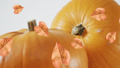 Animation-of-leaves-falling-over-pumpkins