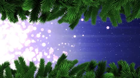 Animation-Von-Schnee,-Der-über-Den-Weihnachtstannenbaum-Fällt