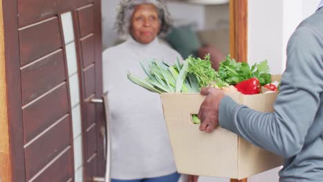 Glückliche-ältere-Afroamerikanische-Frau,-Die-Lebensmittel-Vom-Liefermann-Erhält