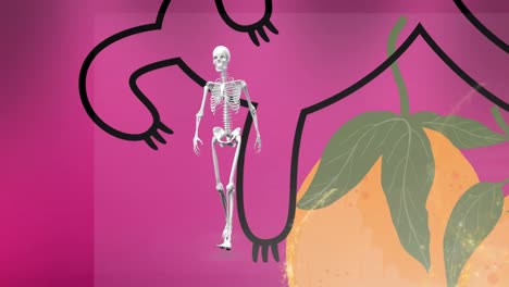 Animation-Von-Fruchtsymbolen-über-Dem-Skelett