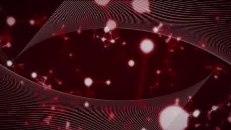 Animation-of-molecules-over-moving-shapes-on-red-background