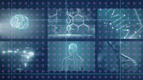 Animation-Von-Dreiecken-über-Rotierender-DNA-Helix-über-Medizinischer-Infografik-Schnittstelle