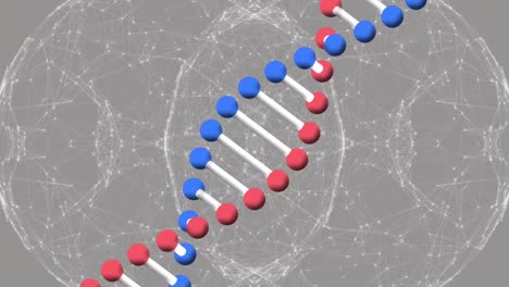 Animation-Des-DNA-Strangs-über-Dem-Globus-Der-Verbindungen-Auf-Grauem-Hintergrund