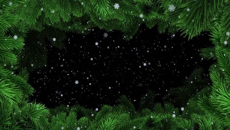 Animation-of-falling-white-snowflakes-with-black-background-and-christmas-tree-border