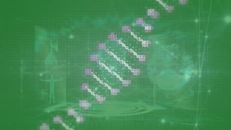 Animation-Der-DNA-Struktur-Und-Des-Netzwerks-Von-Verbindungen-über-Bildschirme-Mit-Medizinischer-Datenverarbeitung