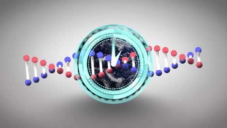 Animation-of-moving-clock-over-globe-and-dna-strand-on-white-background