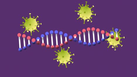Animation-of-dna-strand-over-virus-cells-on-purple-background