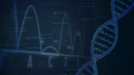 Animation-Von-DNA-Und-Diagrammen-Zur-Datenverarbeitung-Auf-Schwarzem-Hintergrund