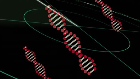 Animation-Eines-Fallenden,-Sich-Drehenden-DNA-Strangs-Und-Einer-Uhr-Vor-Dunklem-Hintergrund