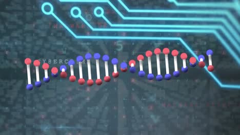 Animación-De-ADN-Y-Circuito-Integrado-Sobre-Escaneo-Sobre-Fondo-Negro