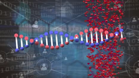 Animation-Des-Spinnens-Von-DNA-Strängen-Und-Der-Verarbeitung-Binärer-Kodierungsdaten