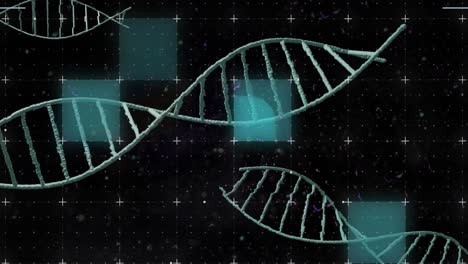 Animation-Von-Formen-über-DNA-Strängen