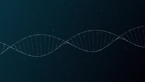 Animation-Eines-Makros-Eines-DNA-Strangs,-Der-Sich-Auf-Dunklem-Hintergrund-Dreht