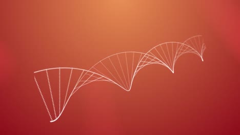Animation-Eines-Makros-Eines-DNA-Strangs,-Der-Sich-Auf-Orangefarbenem-Hintergrund-Dreht
