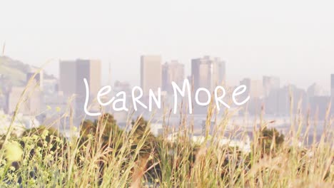 Animation-of-learn-more-text-banner-against-grass-and-view-of-cityscape