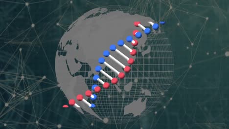 Animation-of-globe-and-dna-strand-over-network-of-connections