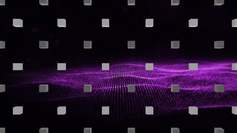 Animation-of-purple-mesh-over-rows-of-grey-cubes-on-black-background