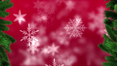 Animation-of-looping-snowflakes-and-cropped-christmas-trees-on-abstract-background