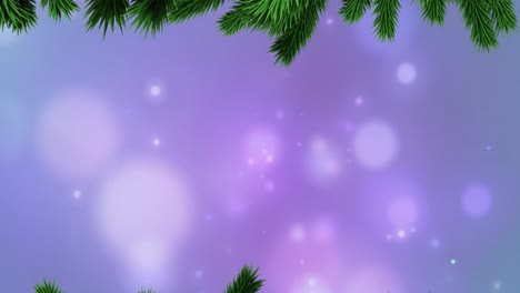 Animation-Leuchtender-Lichter-über-Weihnachtsbaumzweigen