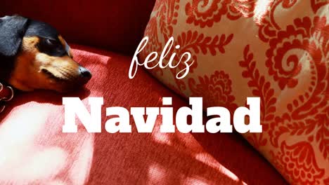 Animation-of-feliz-navidad-christmas-greetings-text-over-dog-on-red-sofa