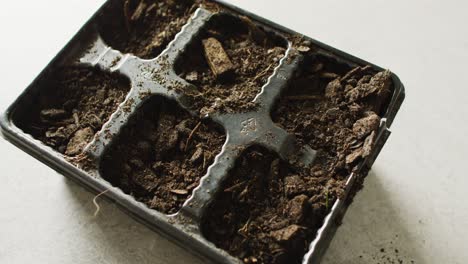 Video-of-seedling-tray-filled-with-organic-soil-and-bark-pieces,-on-white-background
