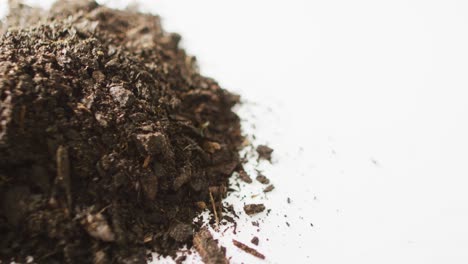 Video-of-mound-of-dark-organic-soil-and-bark-pieces,-on-white-background-with-copy-space