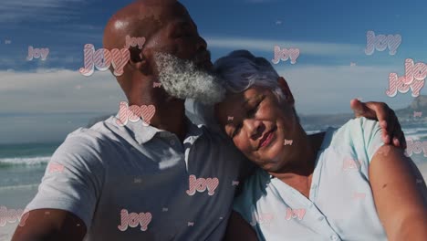 Animation-of-christmas-greetings-text-over-senior-diverse-couple-on-beach