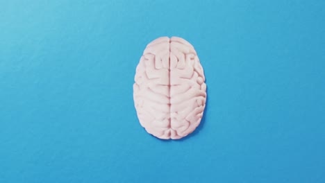 Overhead-video-of-white-brain-on-blue-background-with-copy-space