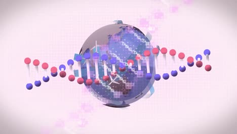 Animation-Von-DNA-Strängen-über-Dem-Globus-Auf-Weißem-Hintergrund