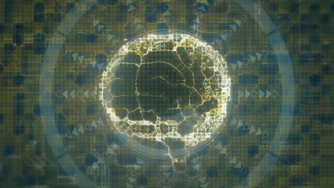 Animation-of-human-brain-in-circles-rotating-over-abstract-pattern-and-circuit-board-texture