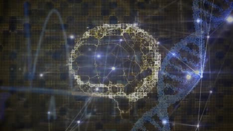 Animation-Von-DNA-Strang-Und-Menschlichem-Gehirn-Mit-Netzwerken-Von-Verbindungen-Und-Datenverarbeitung