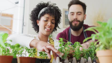 Video-of-happy-diverse-couple-having-fun-potting-seedlings-in-egg-carton-at-home,-with-copy-space