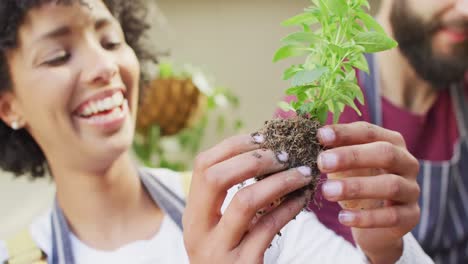 Vídeo-De-Una-Feliz-Pareja-Diversa-Mirando-Plantas,-Plantando-Plántulas-Juntas-En-Casa,-Con-Espacio-Para-Copiar