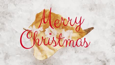 Animation-of-christmas-greetings-text-over-christmas-leaf-and-snow