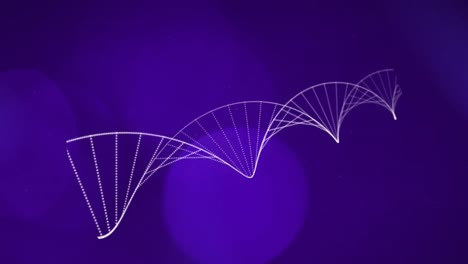 Animation-Eines-DNA-Strangs-über-Hellen-Flecken-Auf-Schwarzem-Hintergrund