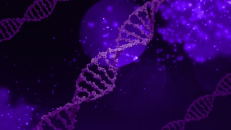 Animation-Von-DNA-Strängen-über-Hellen-Flecken-Auf-Schwarzem-Hintergrund
