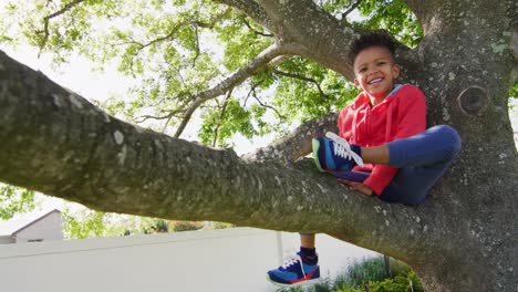 Portrait-of-happy-african-american-boy-sitting-on-tree-in-garden