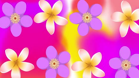 Animation-of-flower-icons-over-colourful-background