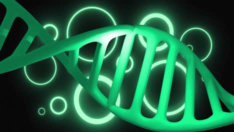 Animation-Eines-Makros-Eines-DNA-Strangs,-Der-Sich-über-Grünen-Neonkreisen-Im-Hintergrund-Dreht