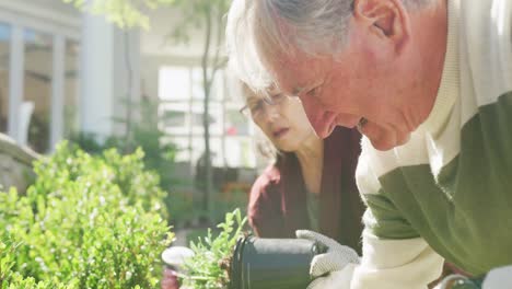 Happy-diverse-senior-couple-working-in-garden-on-sunny-day