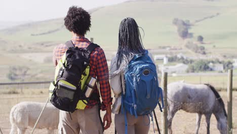 Glückliches-Afroamerikanisches-Paar-Mit-Rucksäcken,-Gemeinsames-Wandern-Mit-Trekkingstöcken,-Zeitlupe
