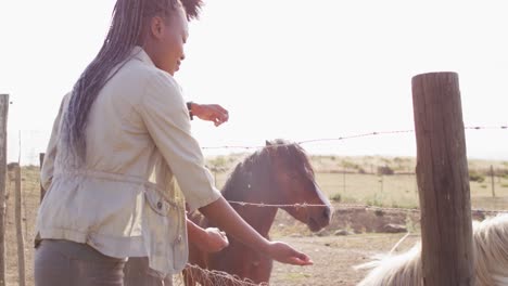 Fröhliches-Afroamerikanisches-Paar,-Das-An-Einem-Sonnigen-Tag-Gemeinsam-Pferde-Füttert,-Zeitlupe