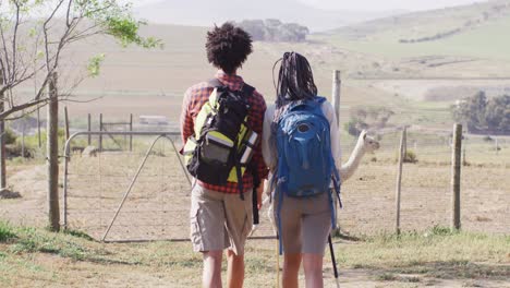 Happy-african-american-couple-with-backpacks,-hiking-with-trekking-poles-together,-slow-motion